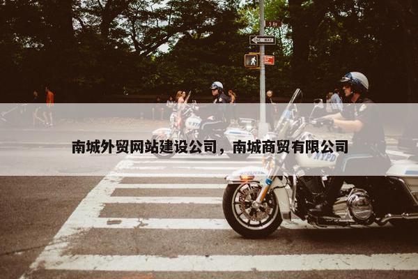 南城外贸网站建设公司，南城商贸有限公司