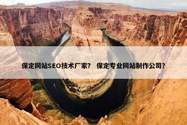 保定网站SEO技术厂家？ 保定专业网站制作公司？