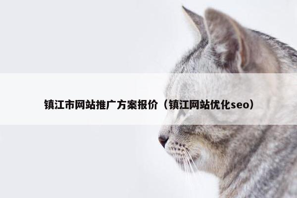 镇江市网站推广方案报价（镇江网站优化seo）