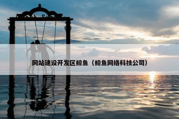 网站建设开发区鲸鱼（鲸鱼网络科技公司）