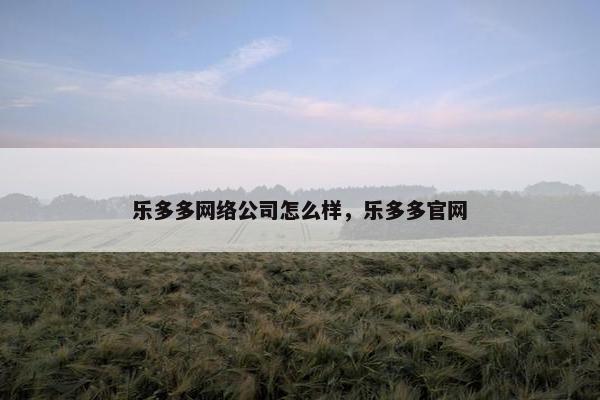 乐多多网络公司怎么样，乐多多官网