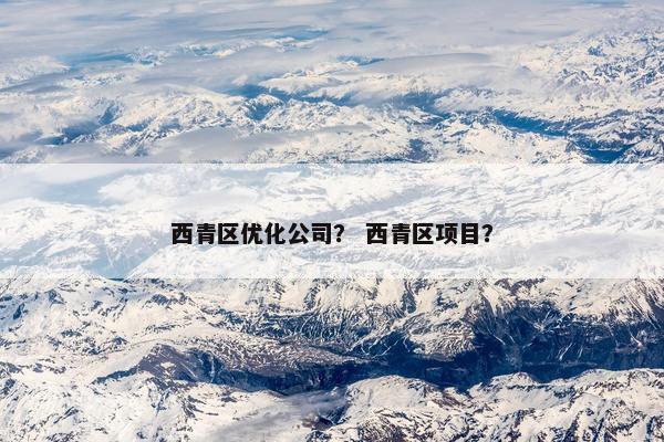 西青区优化公司？ 西青区项目？