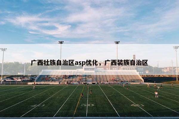 广西壮族自治区asp优化，广西装族自治区