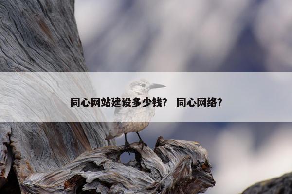 同心网站建设多少钱？ 同心网络？