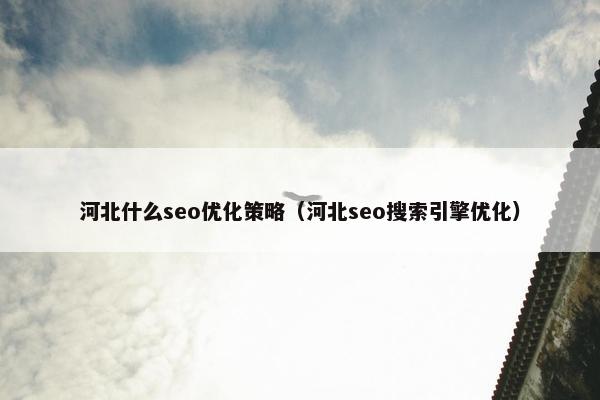 河北什么seo优化策略（河北seo搜索引擎优化）
