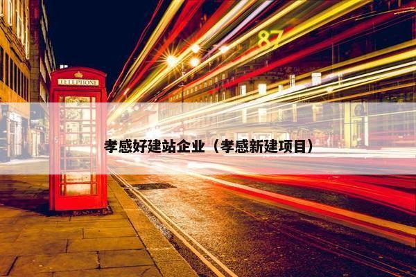 孝感好建站企业（孝感新建项目）