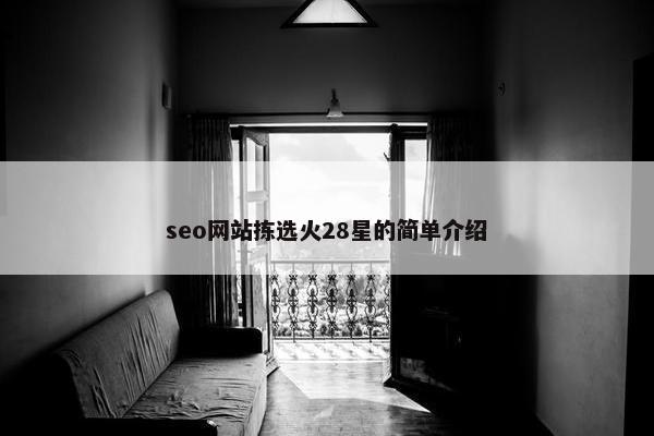 seo网站拣选火28星的简单介绍