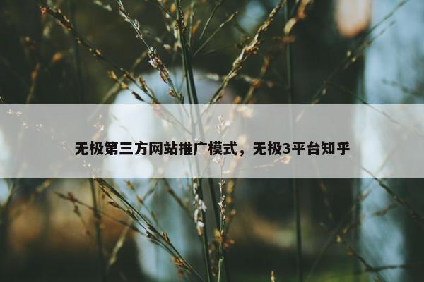 无极第三方网站推广模式，无极3平台知乎