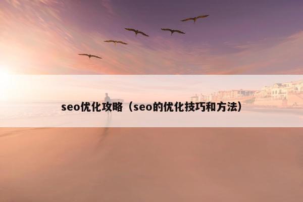 seo优化攻略（seo的优化技巧和方法）