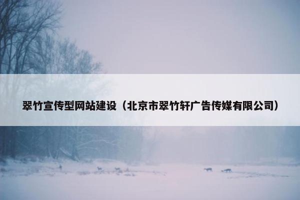 翠竹宣传型网站建设（北京市翠竹轩广告传媒有限公司）