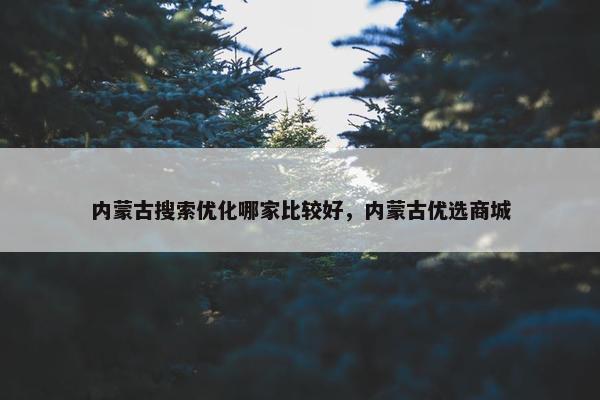 内蒙古搜索优化哪家比较好，内蒙古优选商城