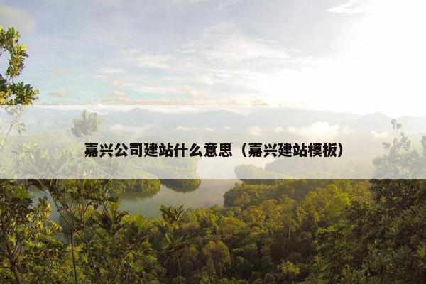 嘉兴公司建站什么意思（嘉兴建站模板）