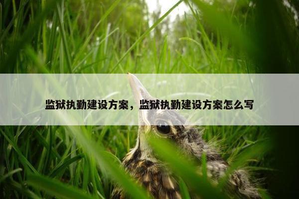 监狱执勤建设方案，监狱执勤建设方案怎么写