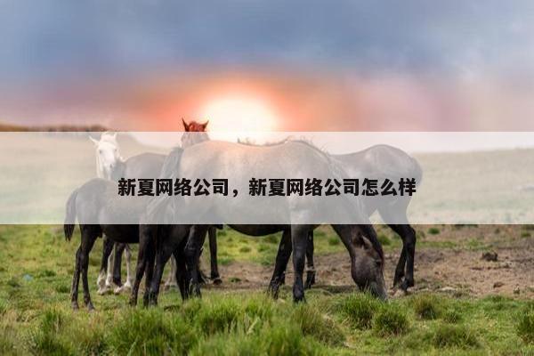 新夏网络公司，新夏网络公司怎么样
