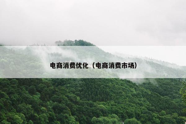 电商消费优化（电商消费市场）