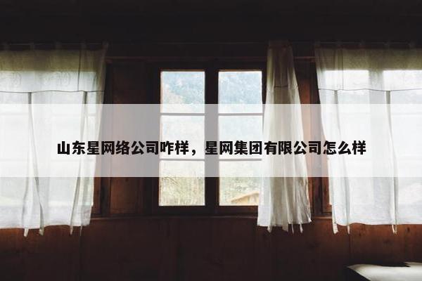 山东星网络公司咋样，星网集团有限公司怎么样
