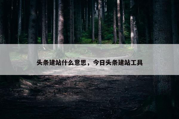头条建站什么意思，今日头条建站工具
