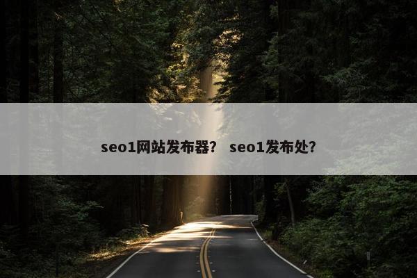 seo1网站发布器？ seo1发布处？