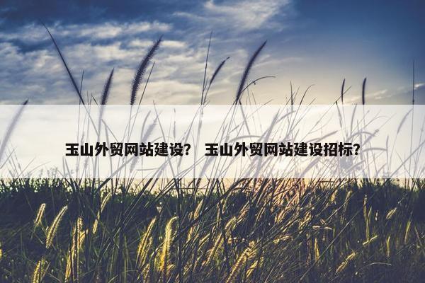 玉山外贸网站建设？ 玉山外贸网站建设招标？