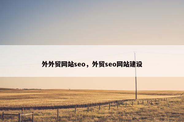外外贸网站seo，外贸seo网站建设
