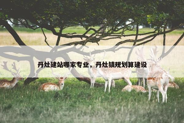 丹灶建站哪家专业，丹灶镇规划算建设