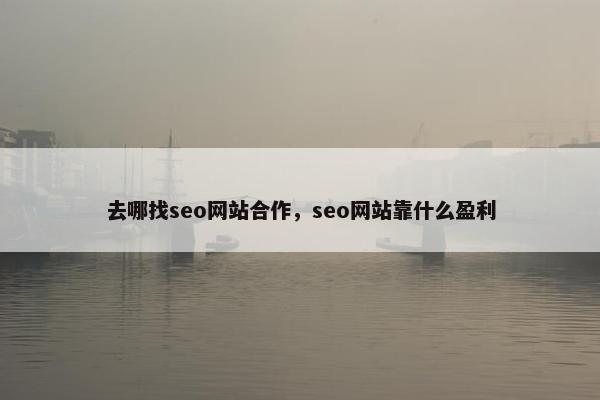 去哪找seo网站合作，seo网站靠什么盈利