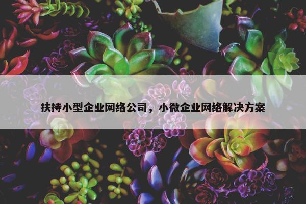 扶持小型企业网络公司，小微企业网络解决方案
