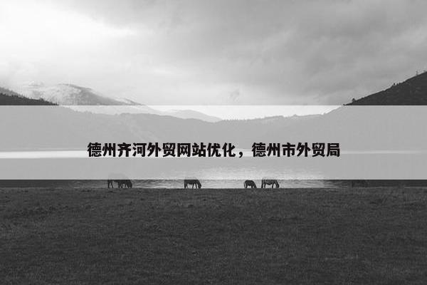 德州齐河外贸网站优化，德州市外贸局