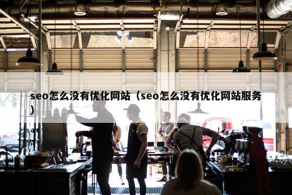 seo怎么没有优化网站（seo怎么没有优化网站服务）