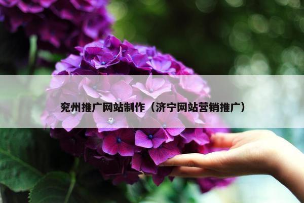 兖州推广网站制作（济宁网站营销推广）