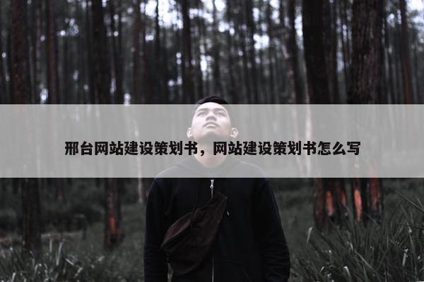 邢台网站建设策划书，网站建设策划书怎么写