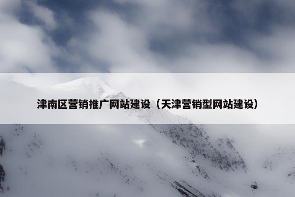 津南区营销推广网站建设（天津营销型网站建设）