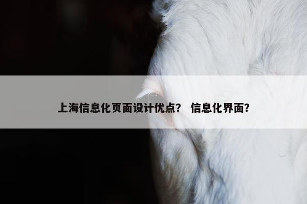 上海信息化页面设计优点？ 信息化界面？