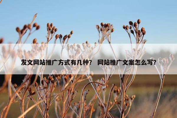 发文网站推广方式有几种？ 网站推广文案怎么写？