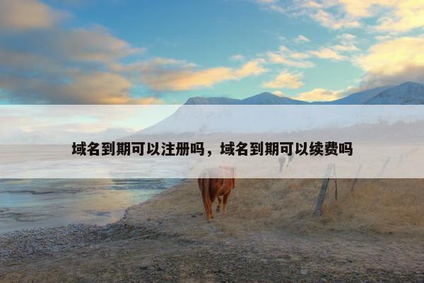 域名到期可以注册吗，域名到期可以续费吗