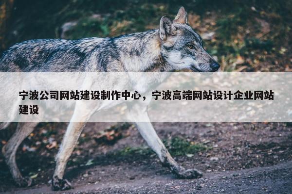 宁波公司网站建设制作中心，宁波高端网站设计企业网站建设