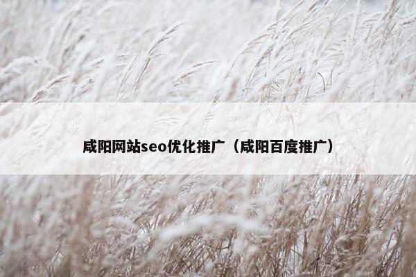 咸阳网站seo优化推广（咸阳百度推广）