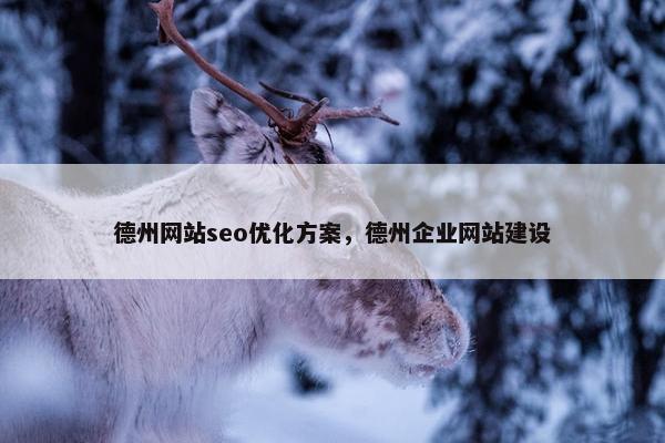 德州网站seo优化方案，德州企业网站建设