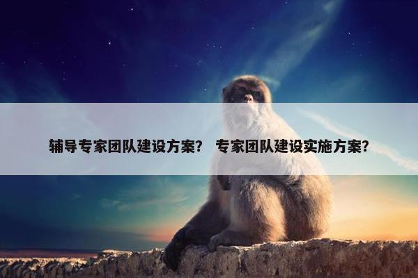 辅导专家团队建设方案？ 专家团队建设实施方案？