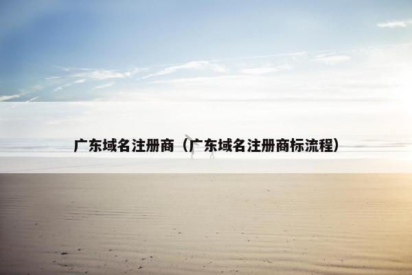 广东域名注册商（广东域名注册商标流程）