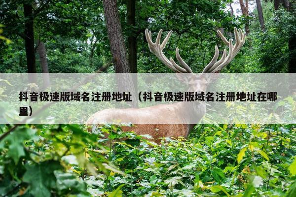 抖音极速版域名注册地址（抖音极速版域名注册地址在哪里）