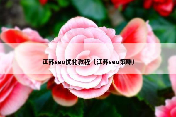 江苏seo优化教程（江苏seo策略）