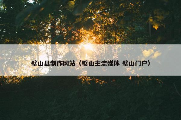 璧山县制作网站（璧山主流媒体 璧山门户）