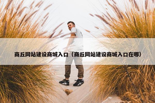 商丘网站建设商城入口（商丘网站建设商城入口在哪）