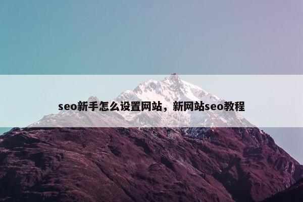 seo新手怎么设置网站，新网站seo教程