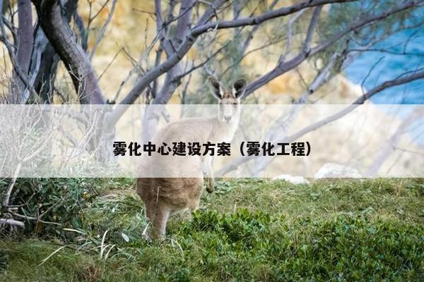 雾化中心建设方案（雾化工程）