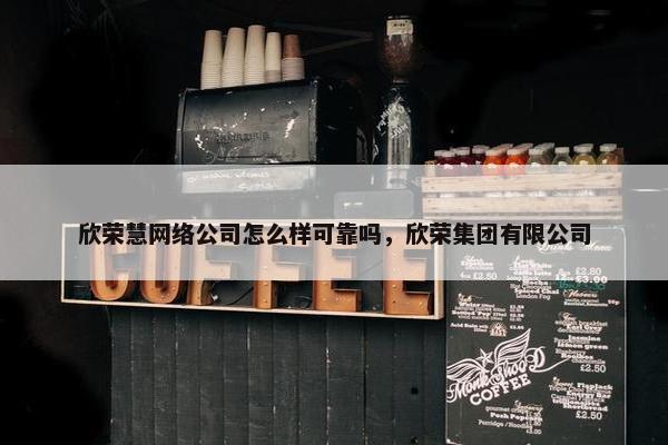 欣荣慧网络公司怎么样可靠吗，欣荣集团有限公司