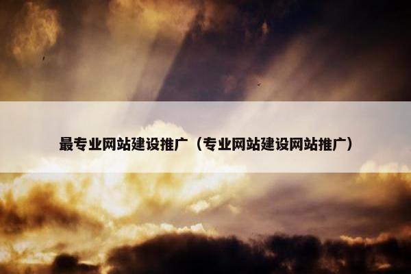 最专业网站建设推广（专业网站建设网站推广）