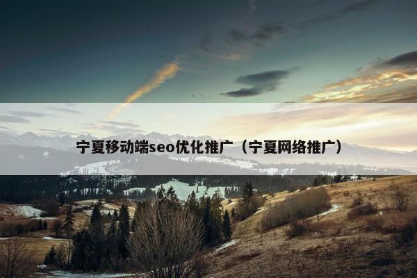 宁夏移动端seo优化推广（宁夏网络推广）
