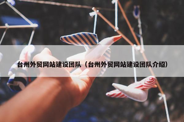 台州外贸网站建设团队（台州外贸网站建设团队介绍）